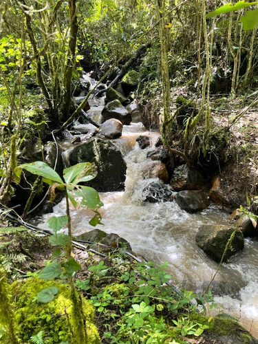 Terreno En Choachi - Bobadillas