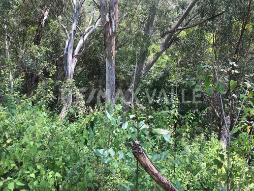 Imagen 8 de 14 de Terreno En Venta