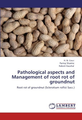 Pathological Aspects And Management Of Root Rot Of Groundnut