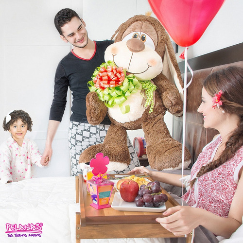 Peluche Pelanas® + Envío Gratis + Perfumado | Doggy Grande