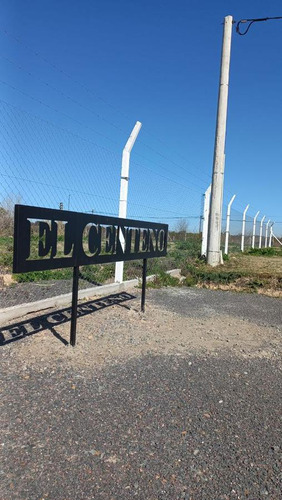 EL CENTENO | Avda. 7y622 (V. Elvira - La Plata)