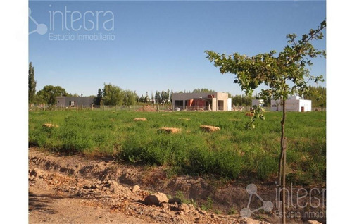 Imagen 8 de 9 de Terreno - General Roca