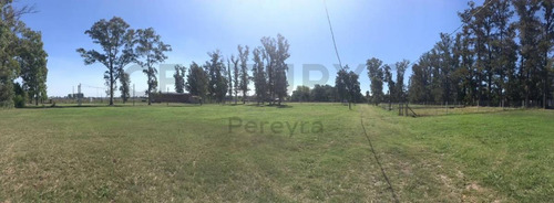 Imagen 3 de 8 de 13 Y 600 -venta De Lotes La Elvira Barrio Cerrado.