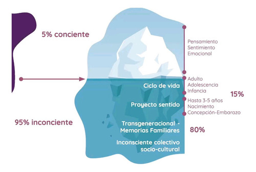 Imagen 9 de 10 de Coach Ontológico Profesional / Experta En Pnl (emociones )