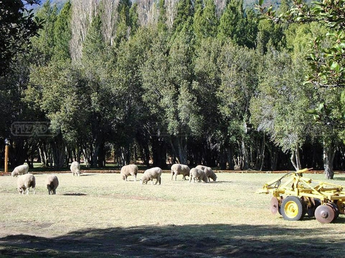 Terreno Fraccion En Venta Ubicado En Villa Lago Mascardi, Bariloche