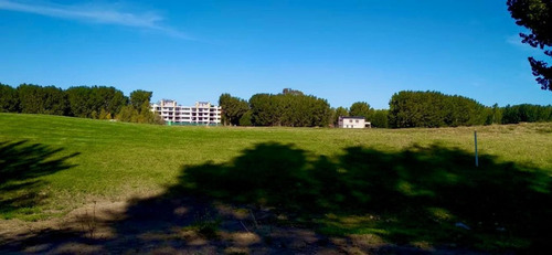 Imagen 5 de 7 de Vende Lotes En Canales De Plottier