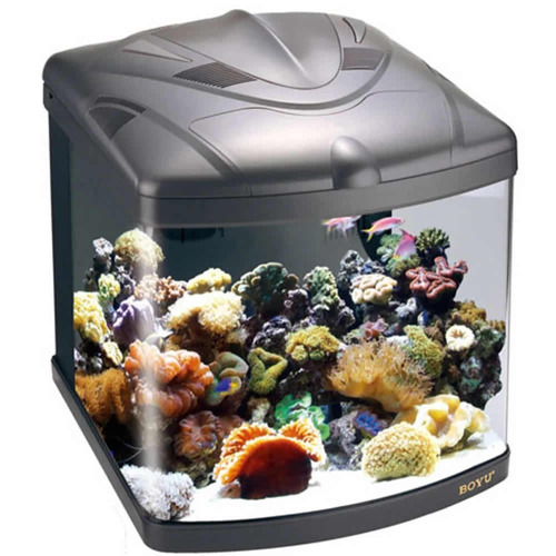 Aquario Curvo Boyu Tl-550 Zumbo C/ Skimmer 128l Preto 127v