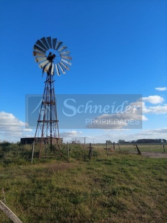 Imagen 3 de 8 de Se Vende Campo De 13 Has Agricola-ganadero En Carmen De Areco