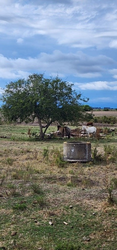Imagen 20 de 30 de Excelente Campo Con Muy Buenas Mejoras .