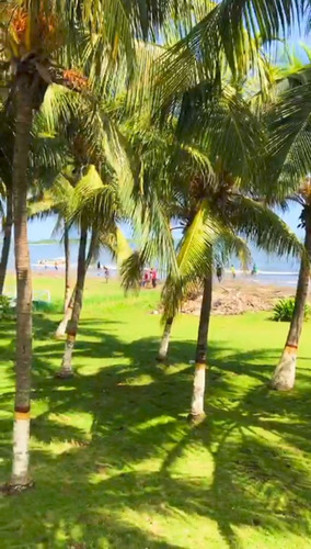 Tucacas Alquiler Aptos Vacacionales Equipados Piscina Lhif9s