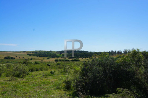 Imagen 2 de 5 de Campo En Venta Piriápolis 5 Hectáreas