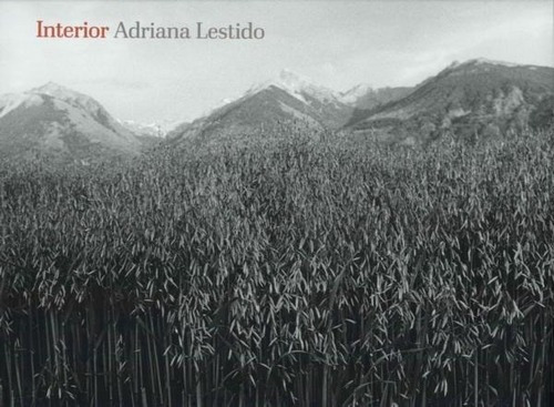 Adriana Lestido - Interior. Clave Intelectual