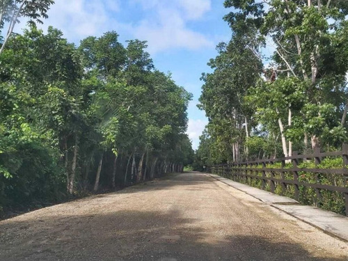Terreno En Venta En Ruta De Los Cenotes