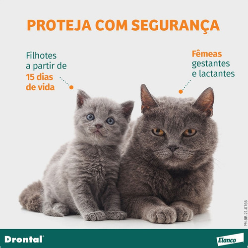 Vermífugo Drontal Gatos Até 4 Kg Com 4 Comprimidos Bayer Pet