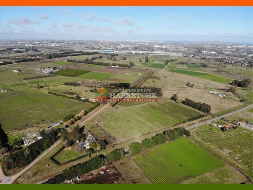 Imagen 5 de 29 de Chacra En Venta Melilla 3 Has