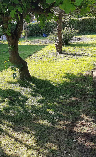 Venta De Terreno/lote 370mts En Derqui Pilar