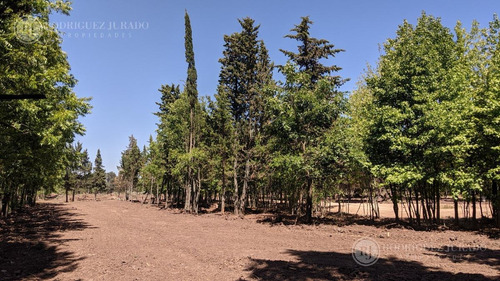 Imagen 7 de 7 de Terreno - Matheu - Lote 75 - Apto Procrear