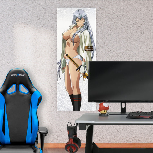 Cuadro Grande 30x80 Cm Ikkitousen Chouun Shiryuu Animeras