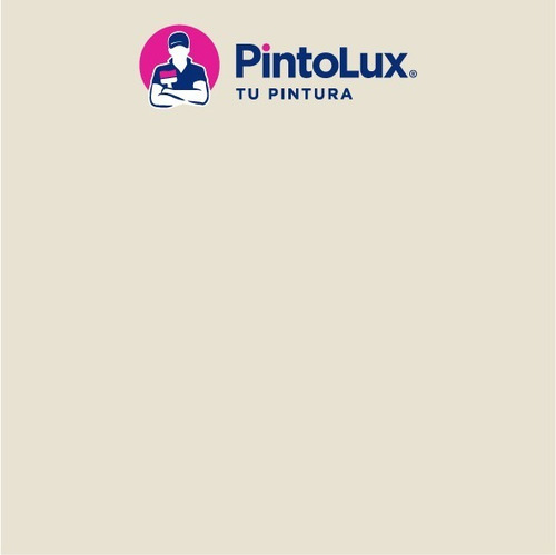 Pintura Pintolux Pintolin 19 Litros Vinil Acrílica