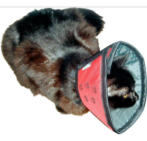 Colar Elizabetano Conforto Para Gatos Tam. 1 Pet Med