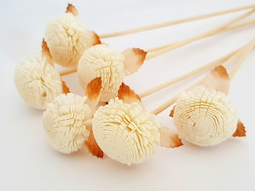 Varillas Difusores Rattan Fantasía 12 Unidades Crisantemo