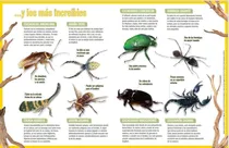 Comprar Colección De Insectos