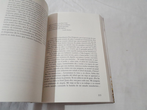 Imagen 5 de 7 de El Libro Del Avo Beatriz Lopez Rueda