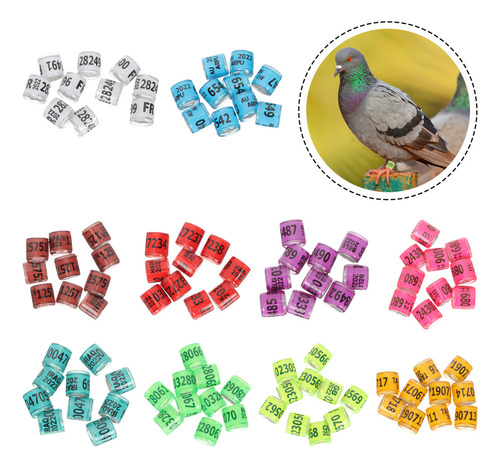Anel De Identificação Ctr Ring Homing Pigeon Anel Para Perna