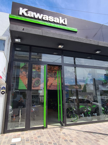 Imagen 14 de 19 de Kawasaki Klr 650 Abs - 0km- Entrega Inmediata!