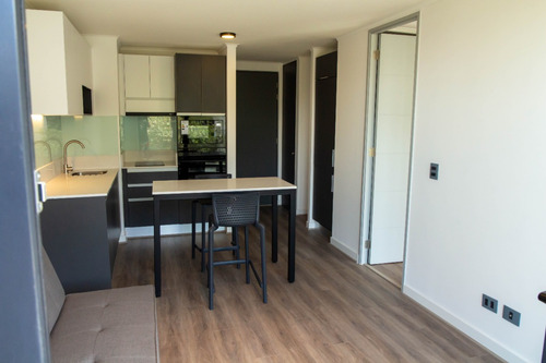 Se Arrienda Departamento Nuevo En Calle Ricardo Lyon Provide