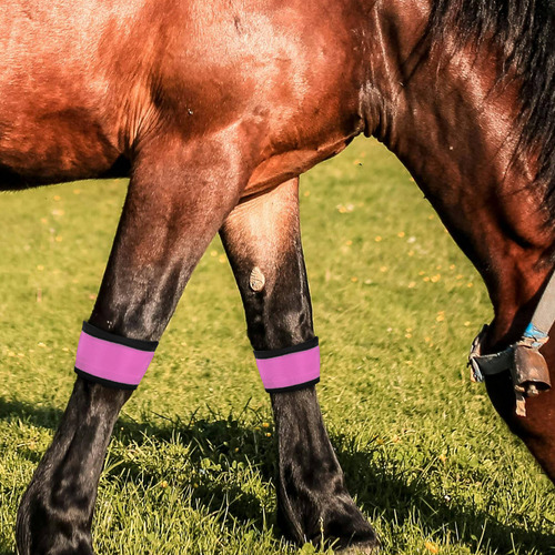 4 Bandas Led Brillantes Para Patas De Caballo, Reflectantes,
