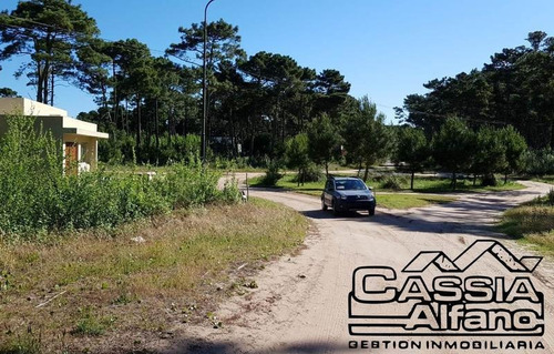 Imagen 14 de 14 de Lote En Pinamar. Venta.