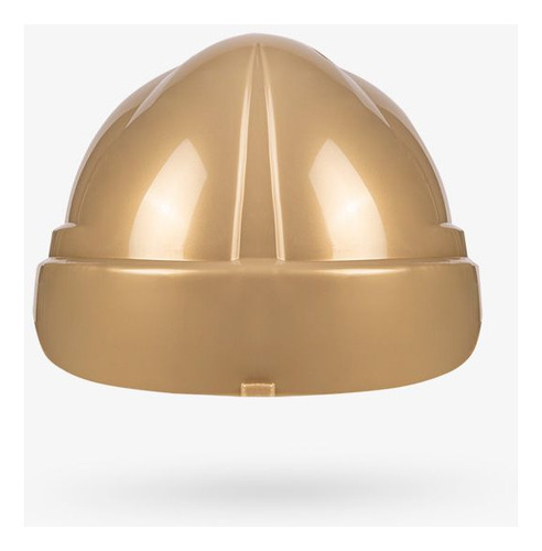 Carcasa Libus Milenium Class Dorado+ Arnés Plást Con Roller