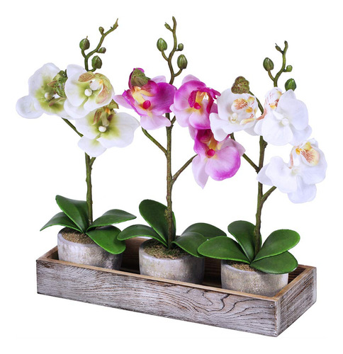 Juego De 3 Orquídeas Falsas Surtidas De Mini Plantas De Orqu