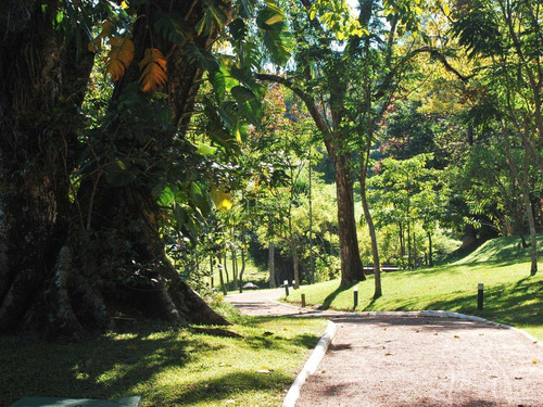 Imagem 28 de 30 de Casa À Venda Em Loteamento Alphaville Campinas - Ca001113