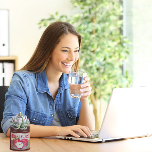 Lata De Café Con Forma De Cubo De Flores De Hierro Suculento
