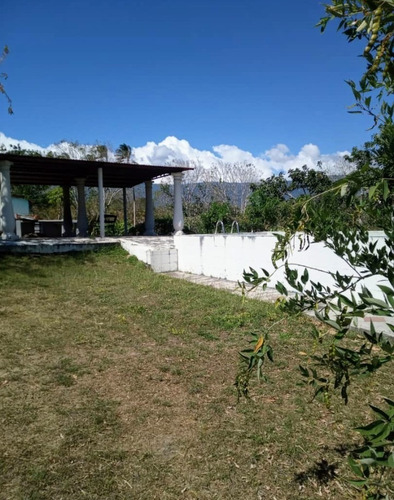 Imagen 7 de 16 de Vendo Finca Araguaney Yaracuy Dt