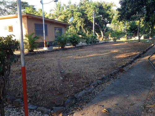 Imagen 5 de 12 de Frances Mijares Vende Finca Terreno Propio En Taguanes Tinaquillo Cód 163349