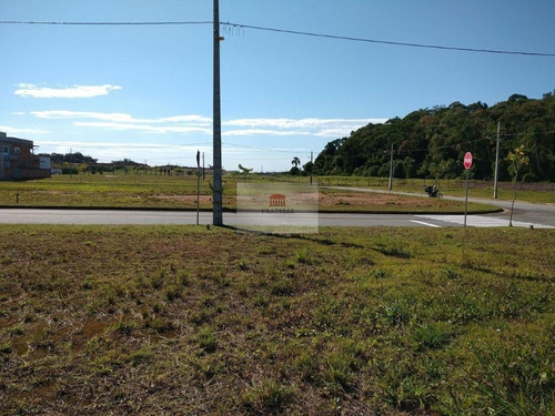 Imagem 11 de 13 de Terreno No Itinga Com 0 Quartos Para Venda, 263 M² - Ft1385