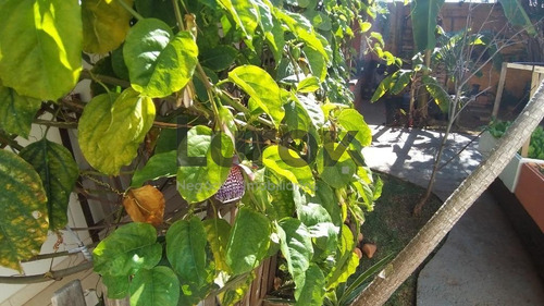 Imagem 20 de 29 de Casa À Venda Em Parque Nova Suíça - Ca001237