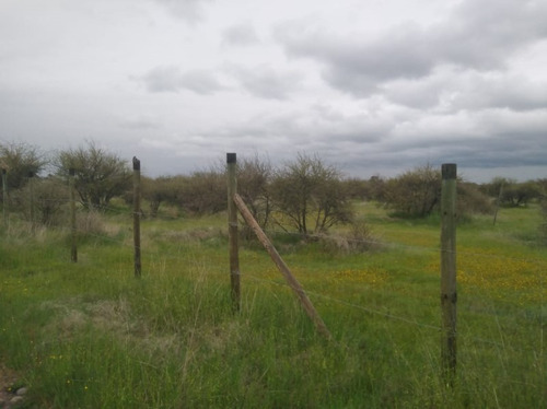 Se Vende Sitio Cauquenes