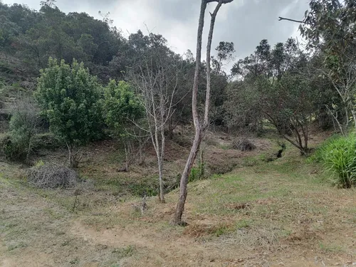 Venta Lotes Rionegro
