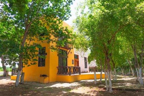 Espectacular Casa De Campo En Rancho Cercano A Valladolid, Rodeada De Limones