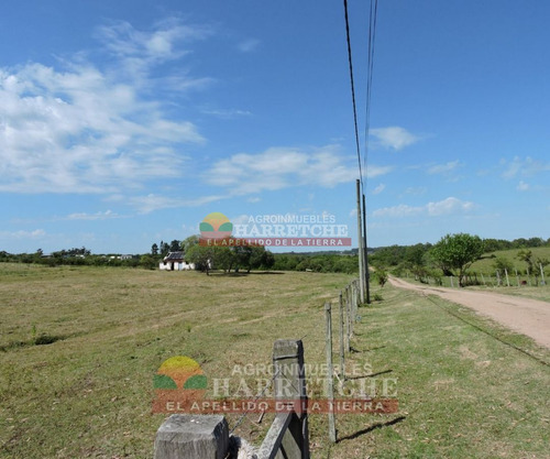 Imagen 16 de 17 de Venta De Chacra Melilla 3 Has Hermoso Paisaje.financia Propietario