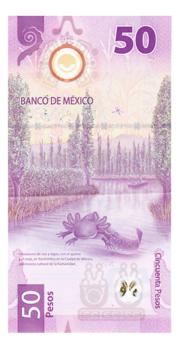 Billete De Ajolote Errores En Diferentes Colores De Tintas