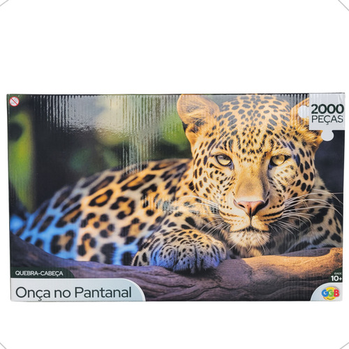 Quebra Cabeça 2000 Pçs Diversos Temas Lugares Imagens Lindas