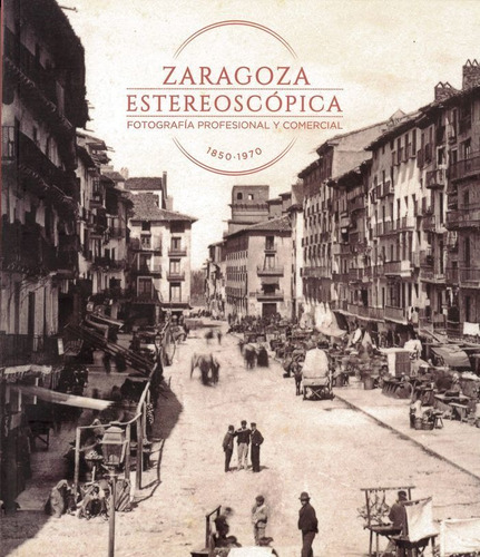 Zaragoza Estereoscãâ³pica. Fotografãâa Profesional Y Comercial 1850-1970, De Hernandez Latas, Jose Antonio. Editorial Prensas De La Universidad De Zaragoza En Español