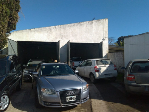 Imagen 12 de 13 de Cod 121 Local Con Galpón Gral. Madariaga
