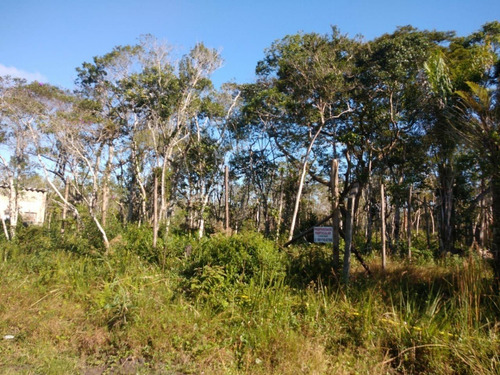 Imagem 1 de 3 de Terreno No Jardim São Francisco Em Peruíbe, Com 364 M² De Área Total