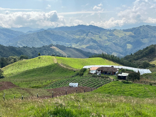  Finca En Venta Con Gran Terreno En Abejorral, Antioquia. 